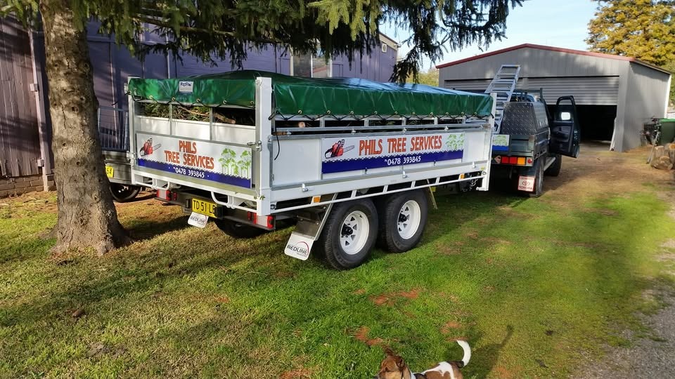 Images Phil's Tree Service