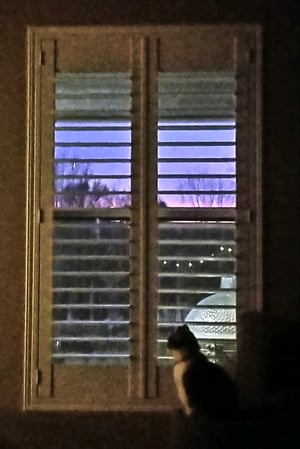 Images Budget Blinds of Los Banos