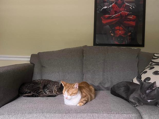 Images Debbie Allen - State Farm Insurance Agent