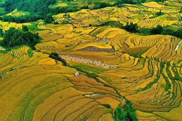 Bilder China Hansa Travel