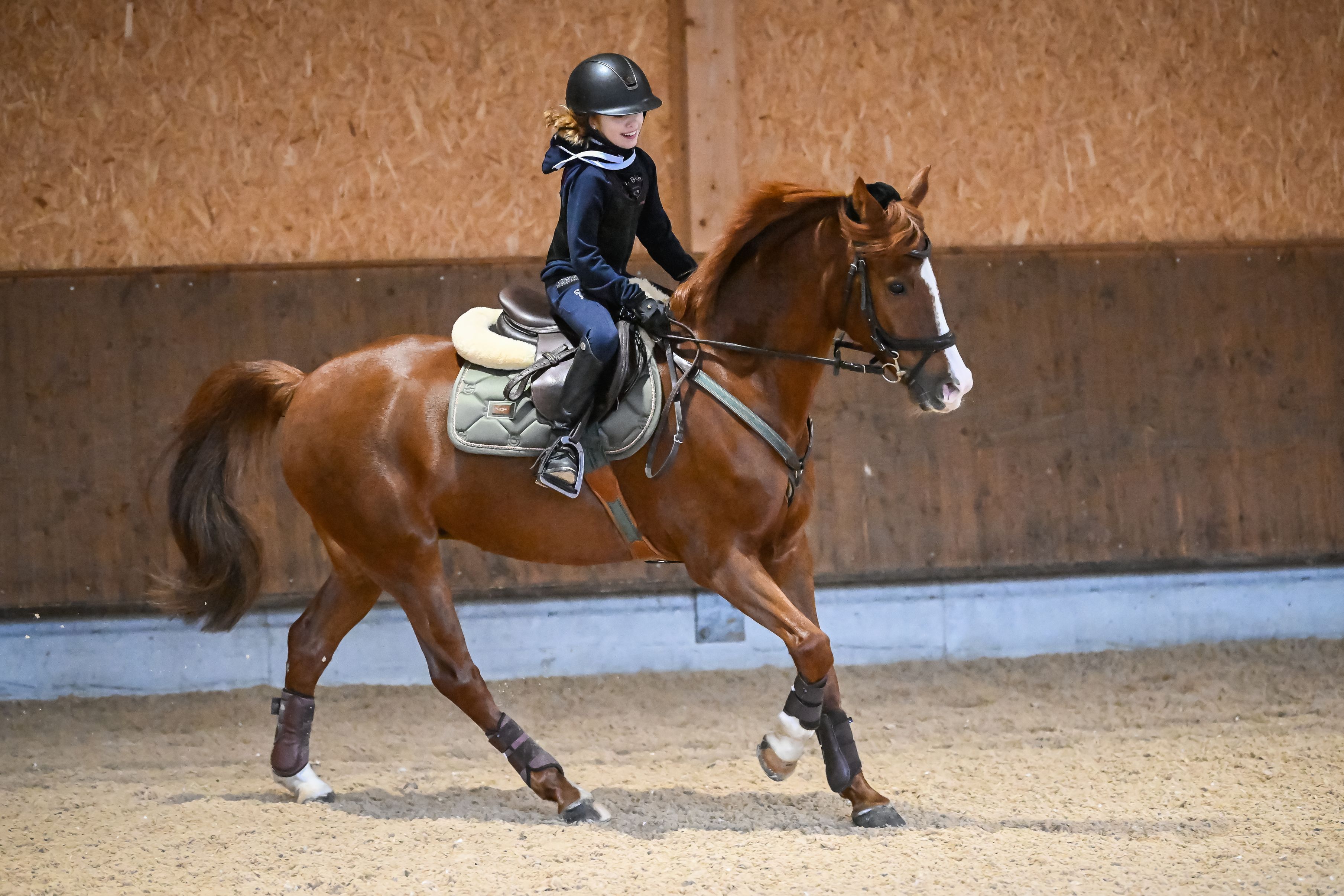 Bilder Reitsportzentrum St. Josefen AG