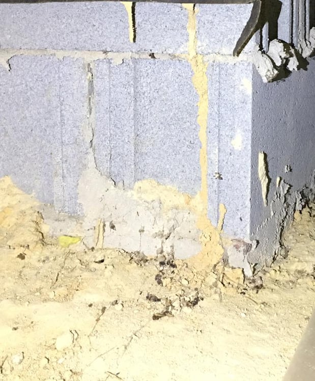 Images Hazmatt Pest Control