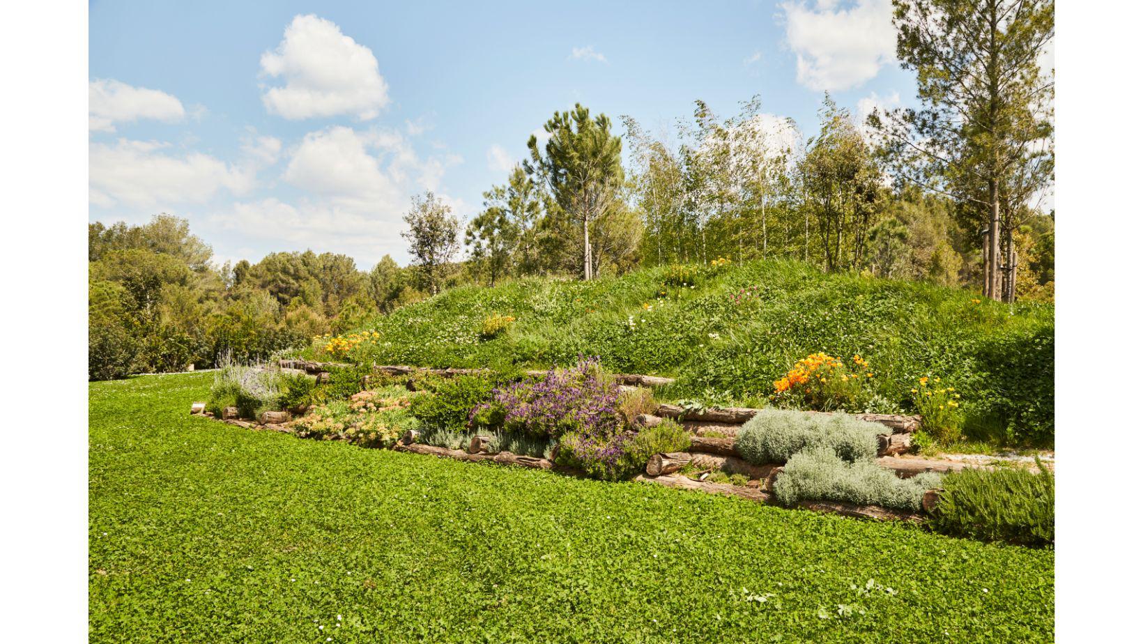 Cementiri Comarcal Roques Blanques 50