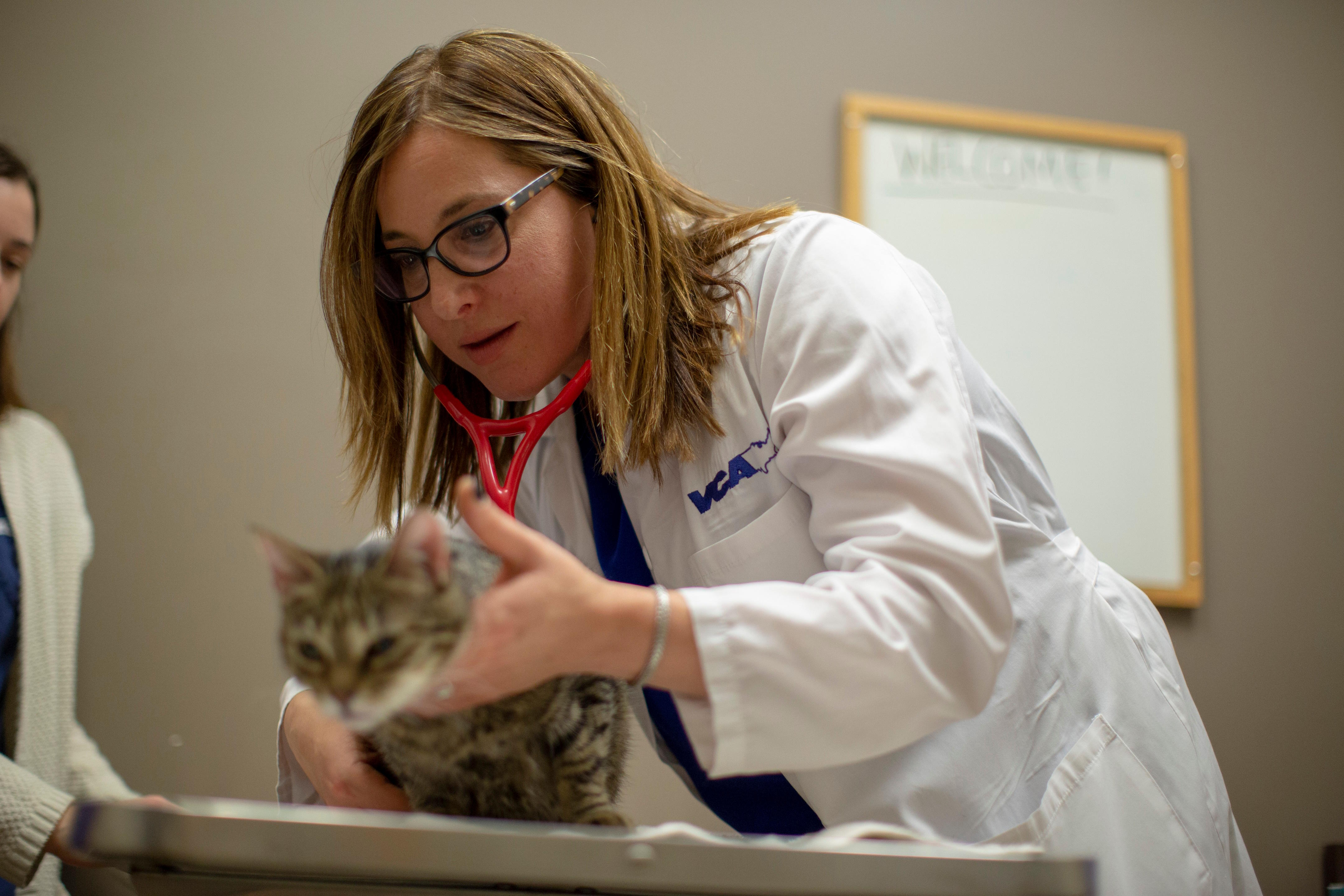 Image 10 | VCA Alameda East Veterinary Hospital