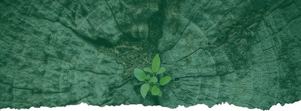 Images Atlas Tree Service Inc.