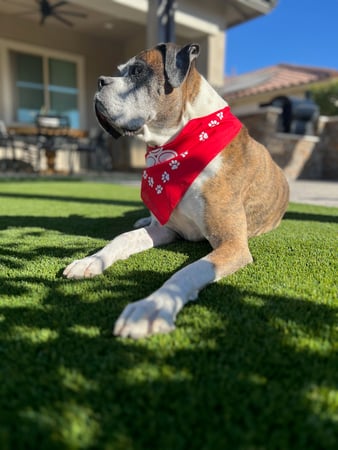 Images Aaron Kieselburg - State Farm Insurance Agent