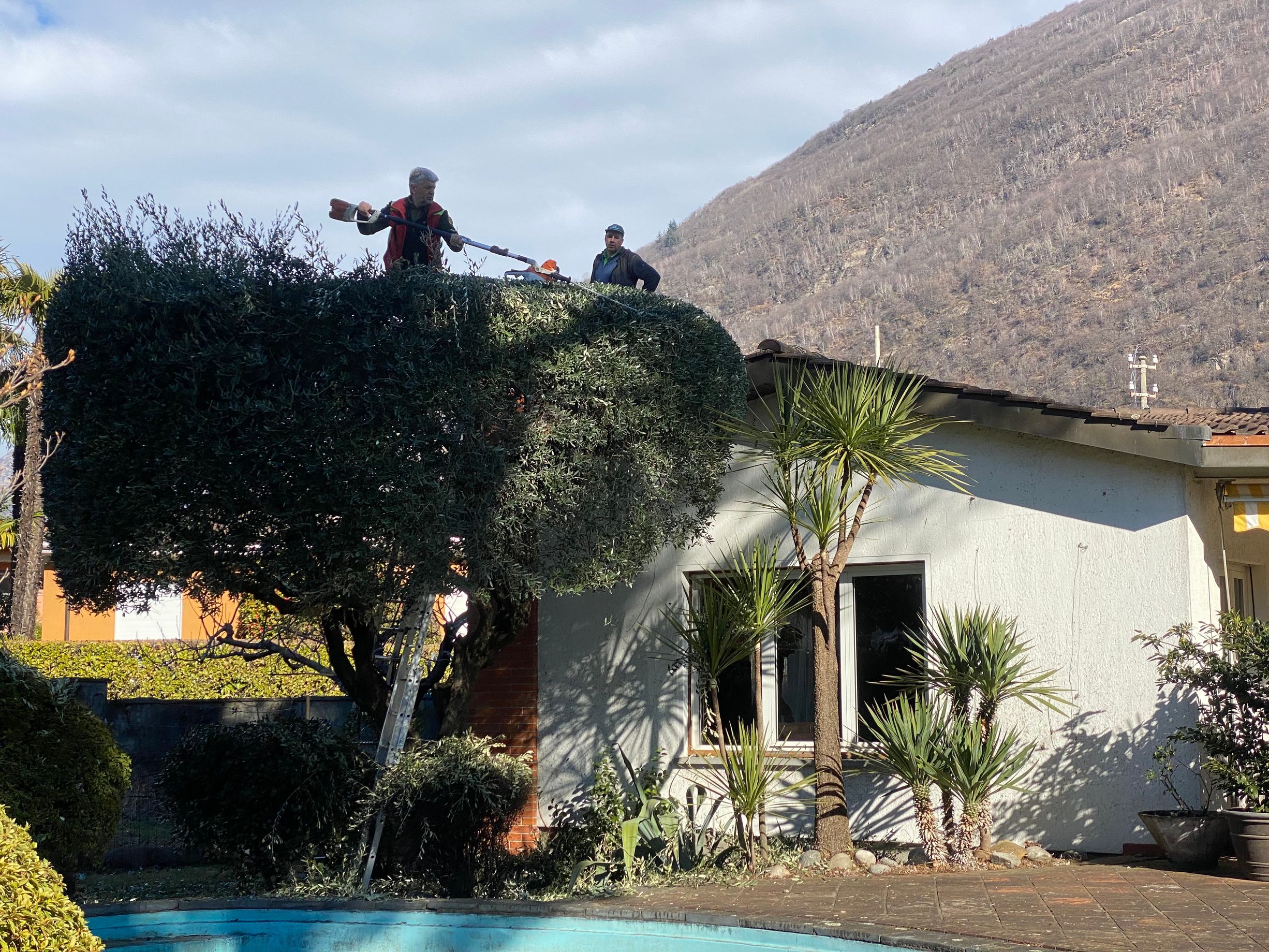 Bilder Selim Giardini Sagl