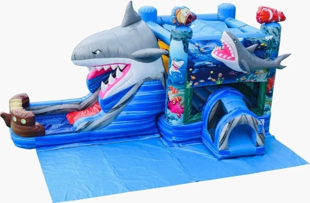 Images Imagination Jump and Party Rentals