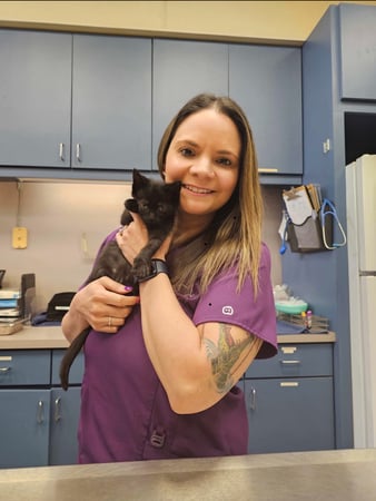 Images VCA Lake Jackson Animal Hospital