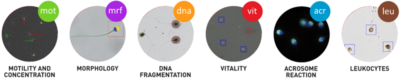 Images MICROPTIC, S.L.