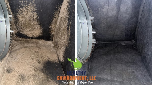Images Healthy Environment, LLC