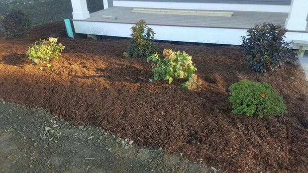 Images Leone's Landscaping & Construction