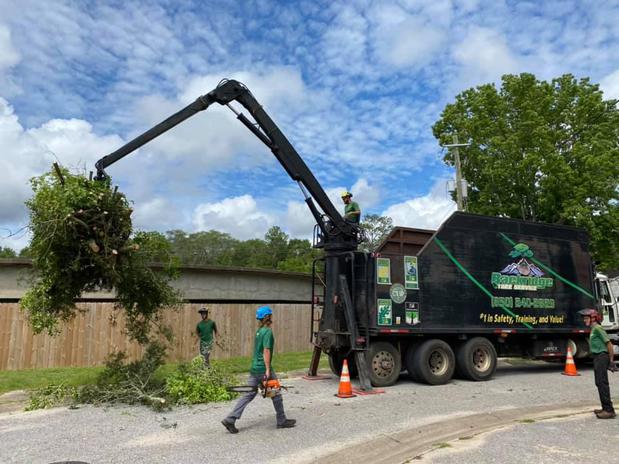 Images Backridge Tree Service