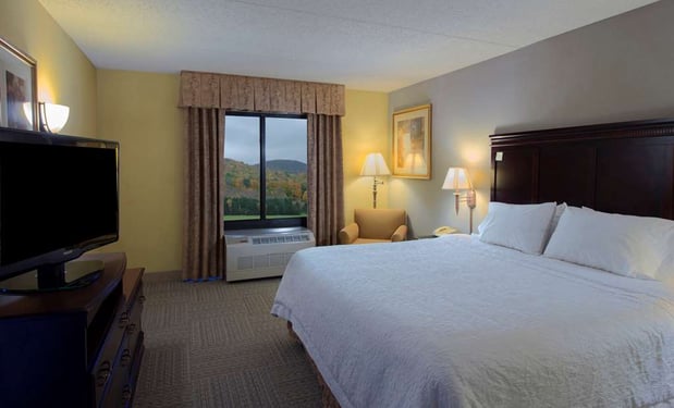 Images Hampton Inn Bennington