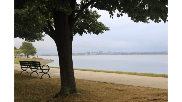 Images Darcy Bento, South Boston Realtor - Bento Real Estate Group