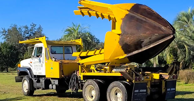 Images Associated Treemasters