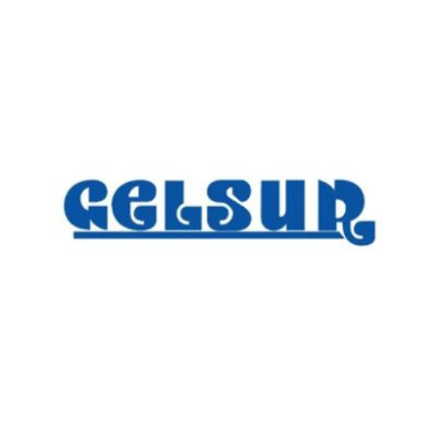 Gelsur Concessionario Algida Logo