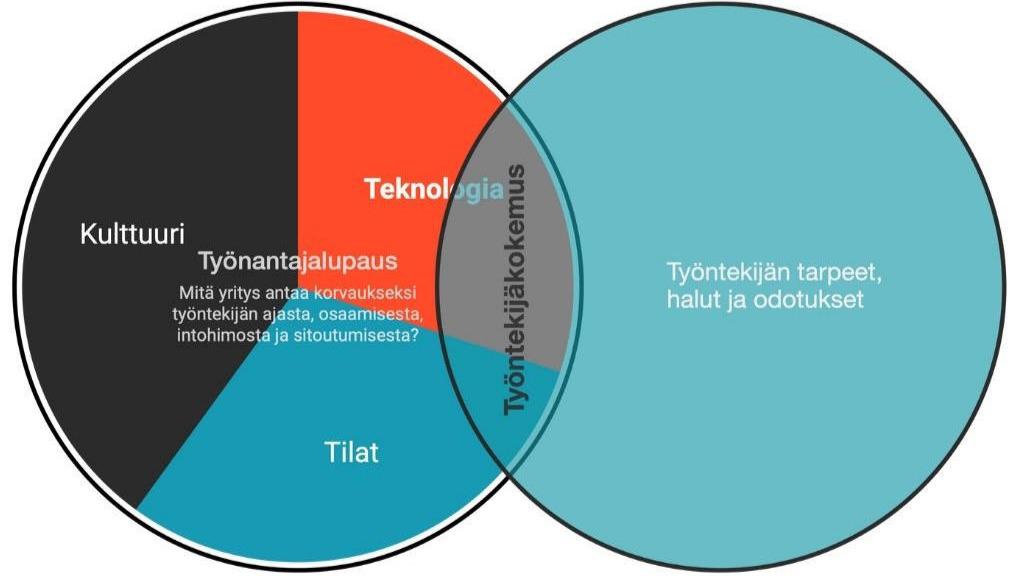 Images Kjarkur