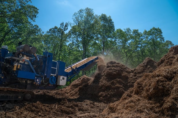 Images Big Woody's Tree Service