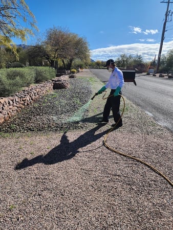 Images Ozone Pest Control