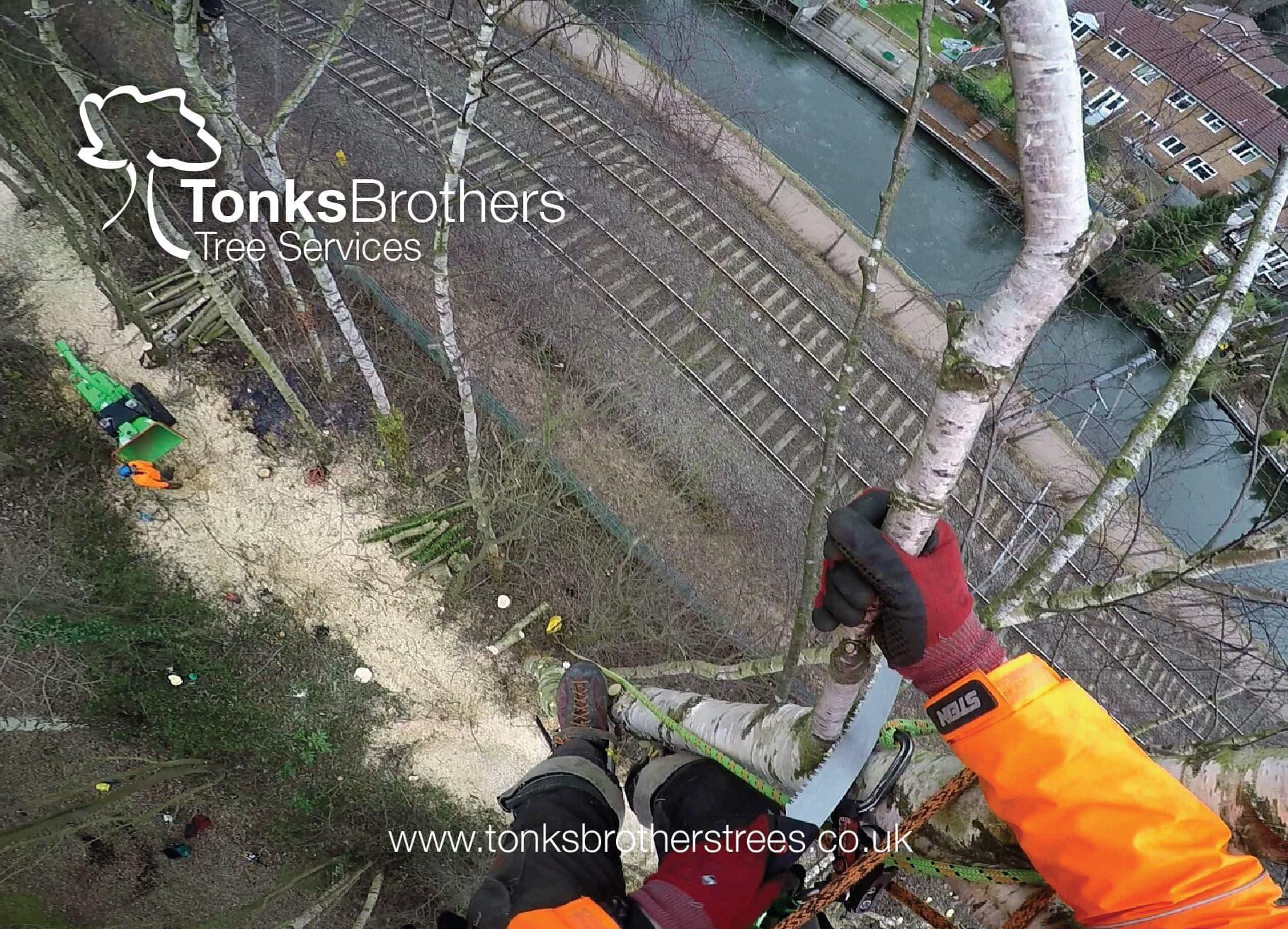 Tonks Brothers Tree Services Burntwood 01543 675912