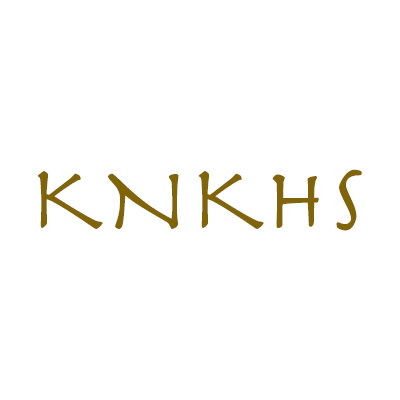 Kinks N Kurls Hair & Co Salon Logo