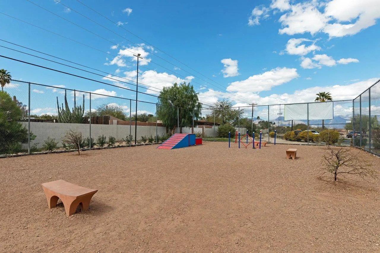 Large Dog Park