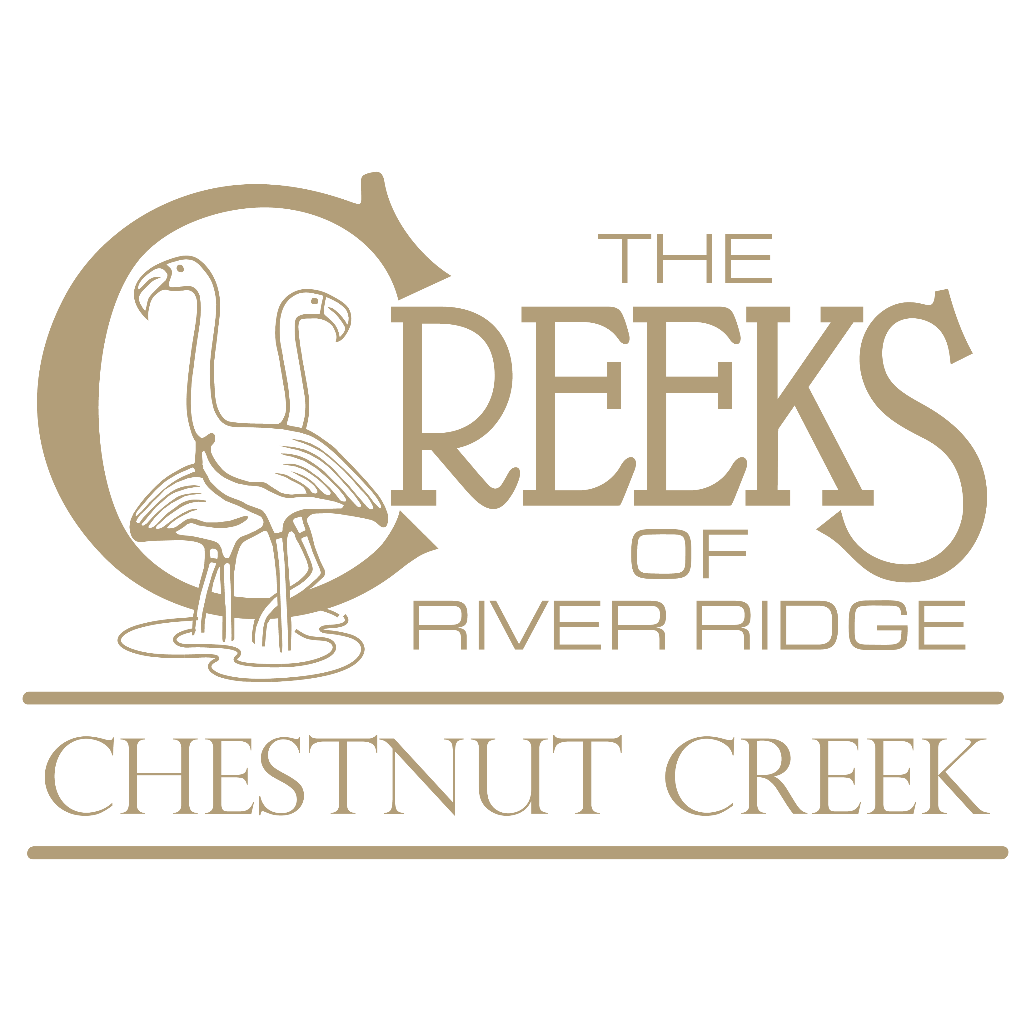 Chestnut Creek