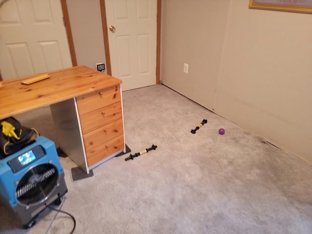 Images My Carpet Cleaning & Restoration Service