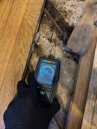 Images 24H Mold Inspection of Harbor City