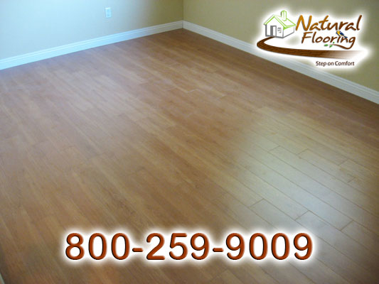Natural Oak Laminate Floor