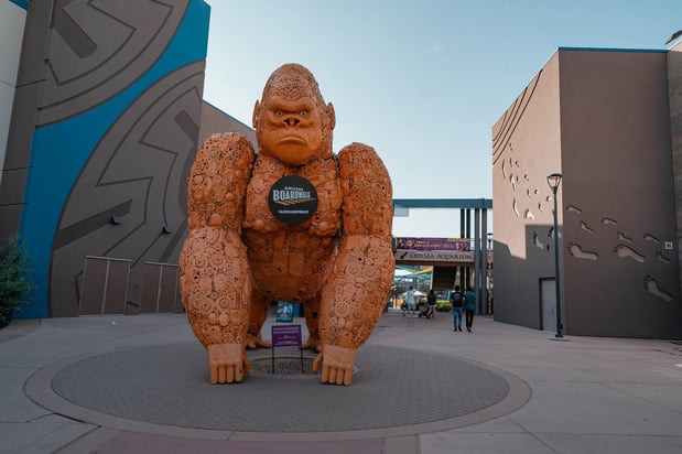 Images The Penrose Team @ eXp Realty