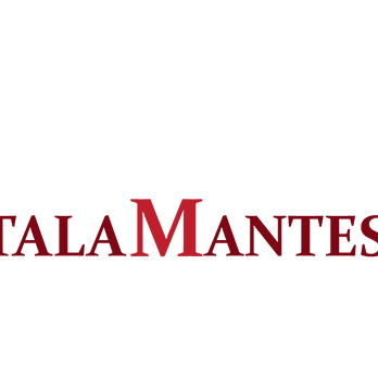 Talamantes Immigration Law Firm Logo