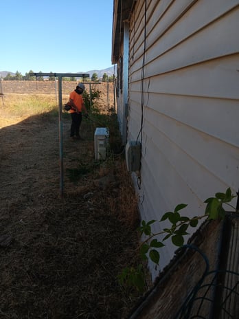 Images Pimentel's Gardening