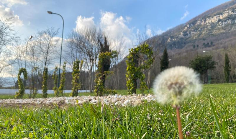 Images Valentino Vito manutenzioni giardini e aiuole