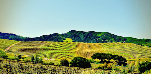 Images Michael Watz Photography