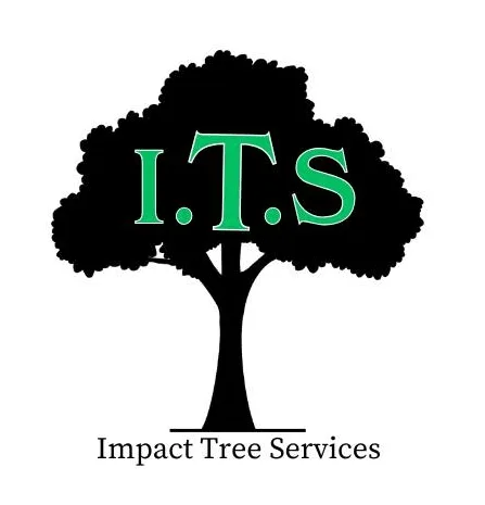 Images Impact Tree Services