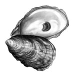 The Wicked Oyster Logo