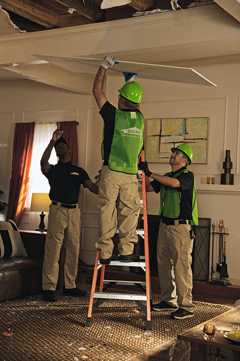 Images SERVPRO of Temecula