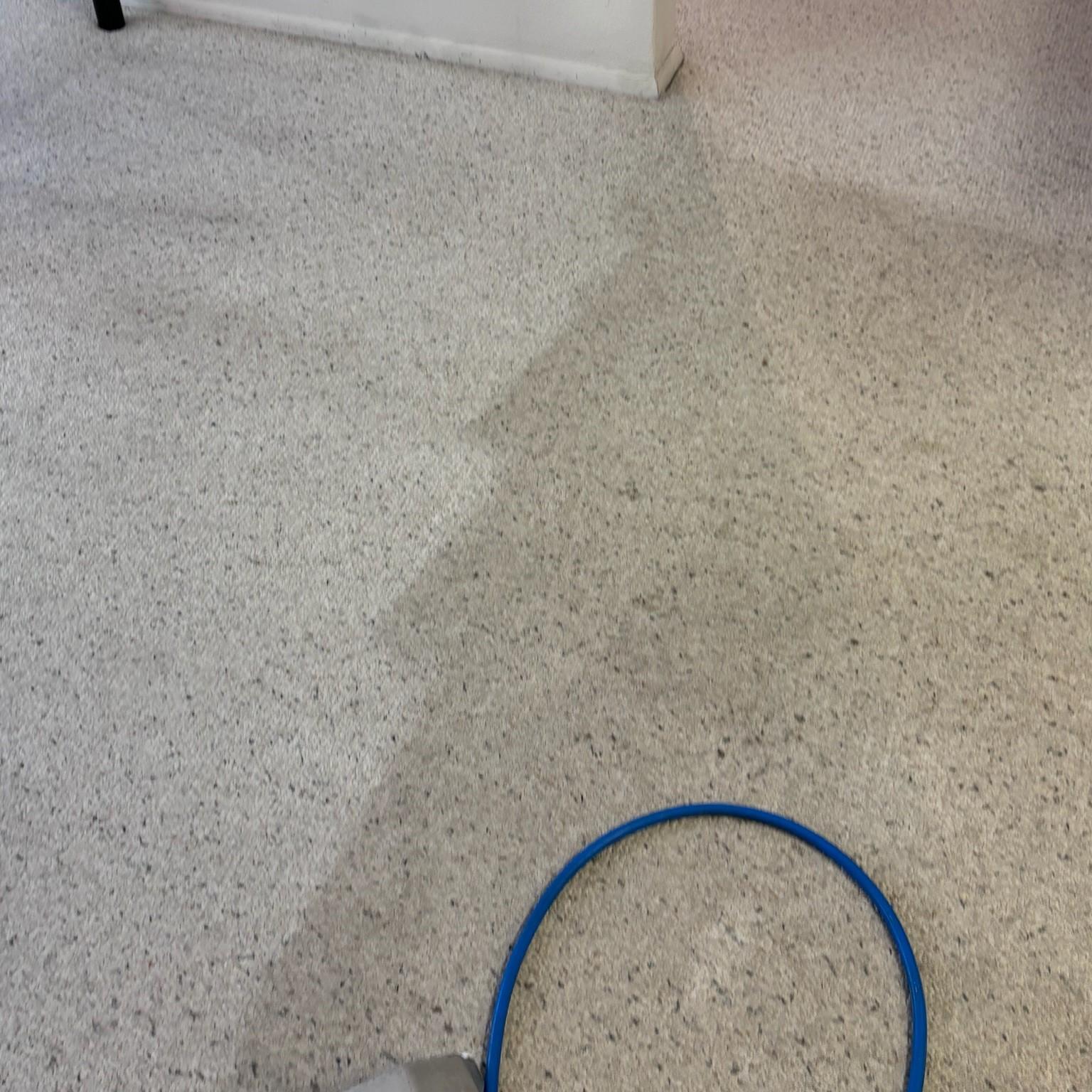 Commercial carpet cleaning in Scottsdale, Arizona