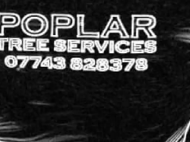 Images Poplar Tree Services Ltd