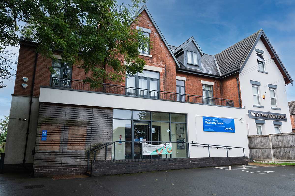 Ambivet Veterinary Centre - Ripley