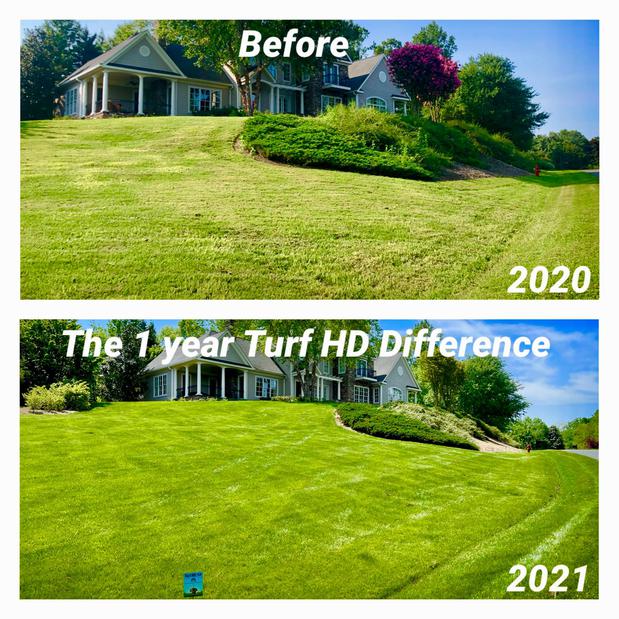 Images Turf HD
