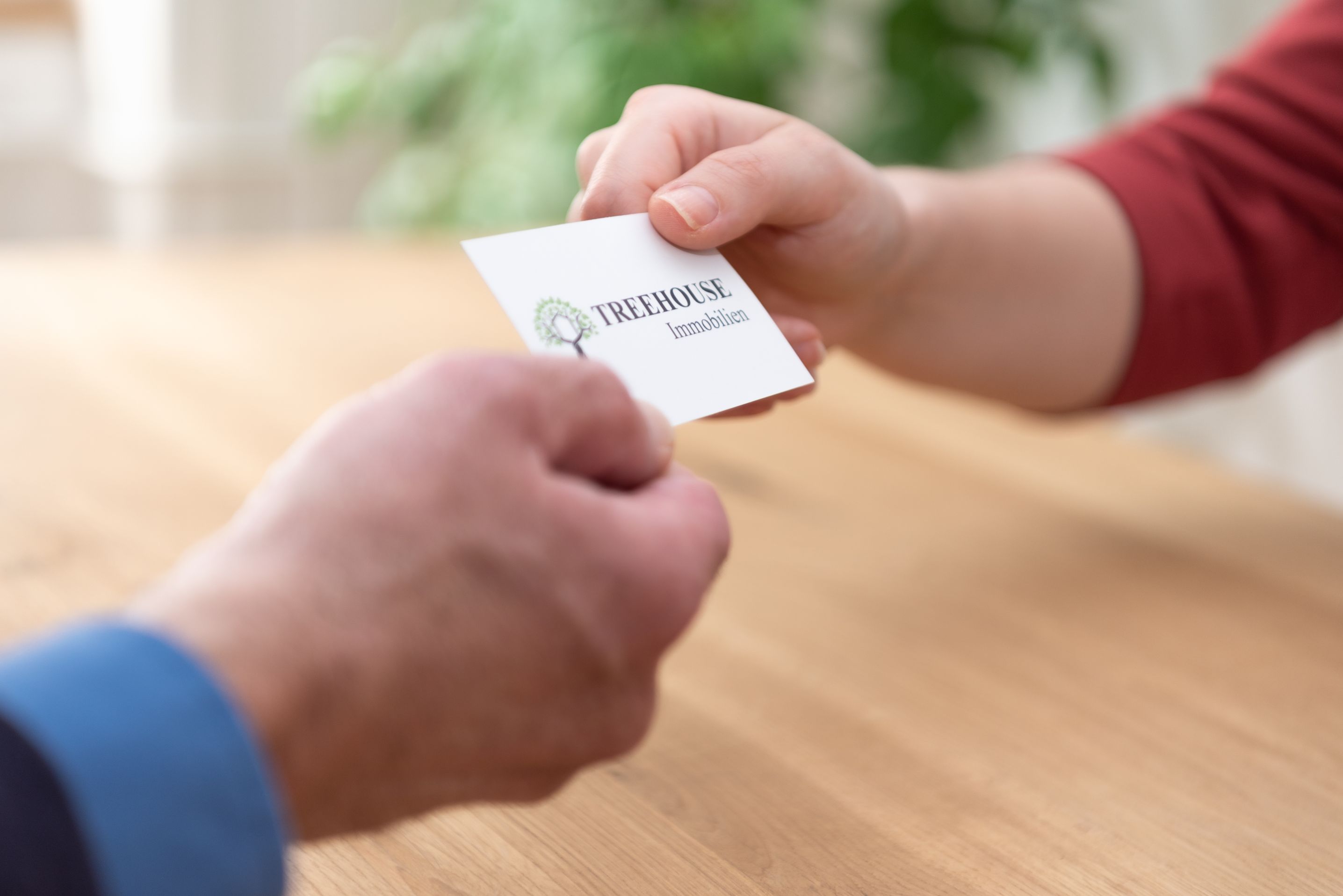 Bilder Treehouse GmbH