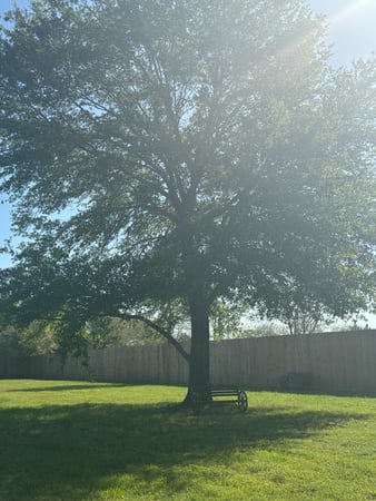Images Goodson Loop RV Park