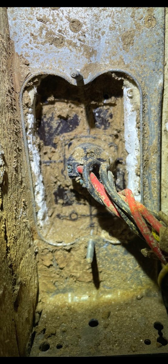 Images Assassin Pest Control