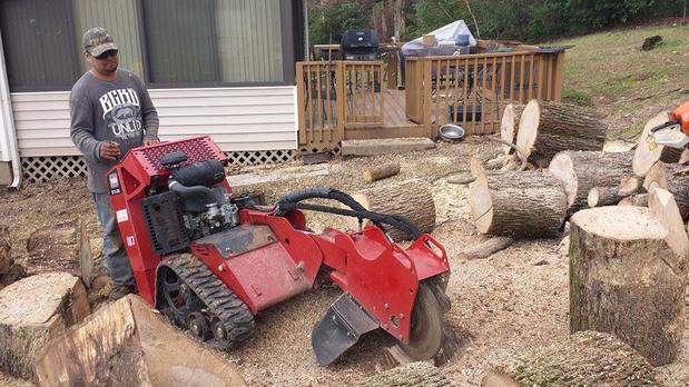 Images Zamora Tree Service
