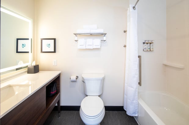Images Holiday Inn & Suites Detroit - Troy by IHG
