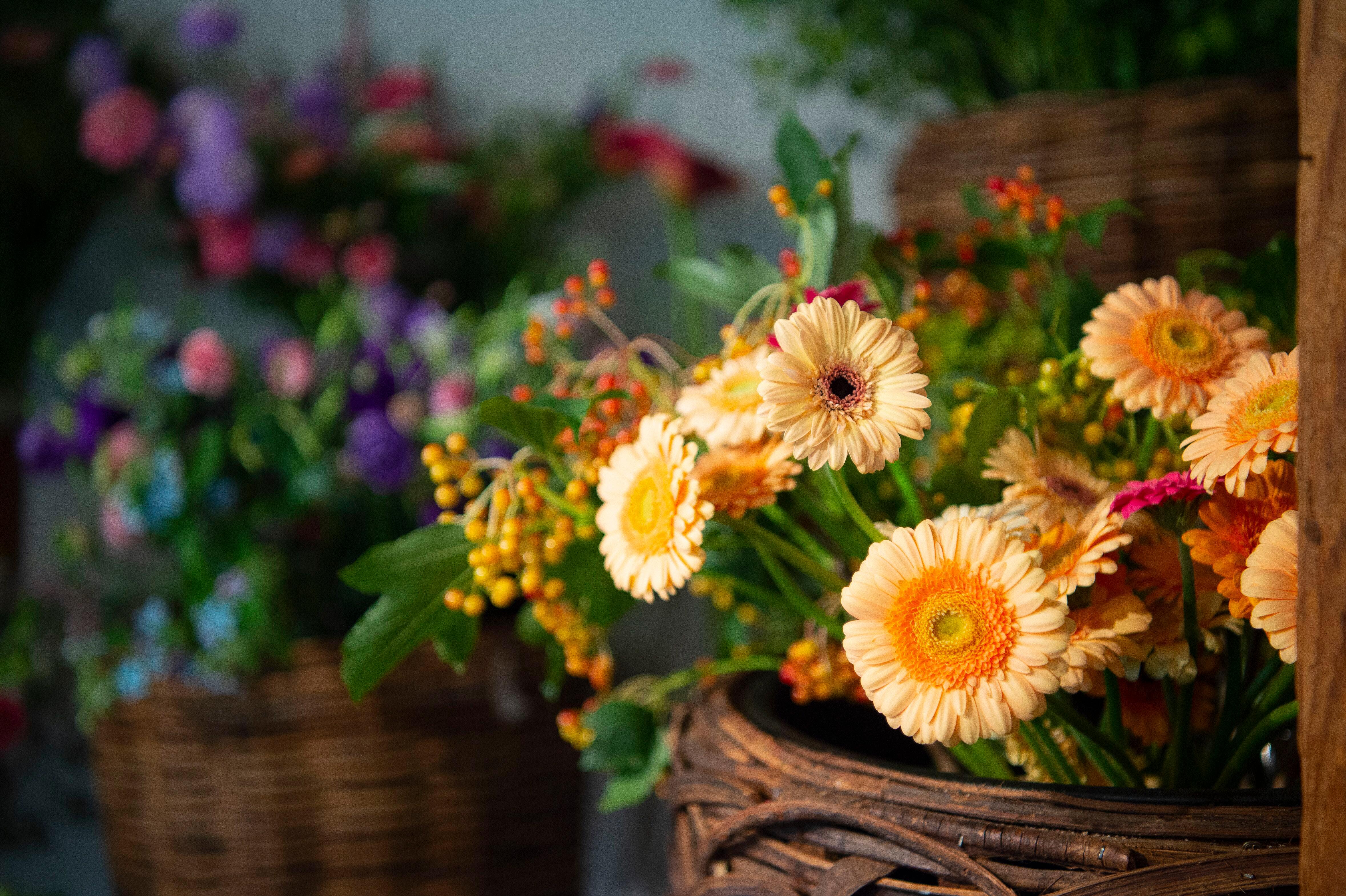 Urech Garten AG, Heroldstrasse 25 in Chur