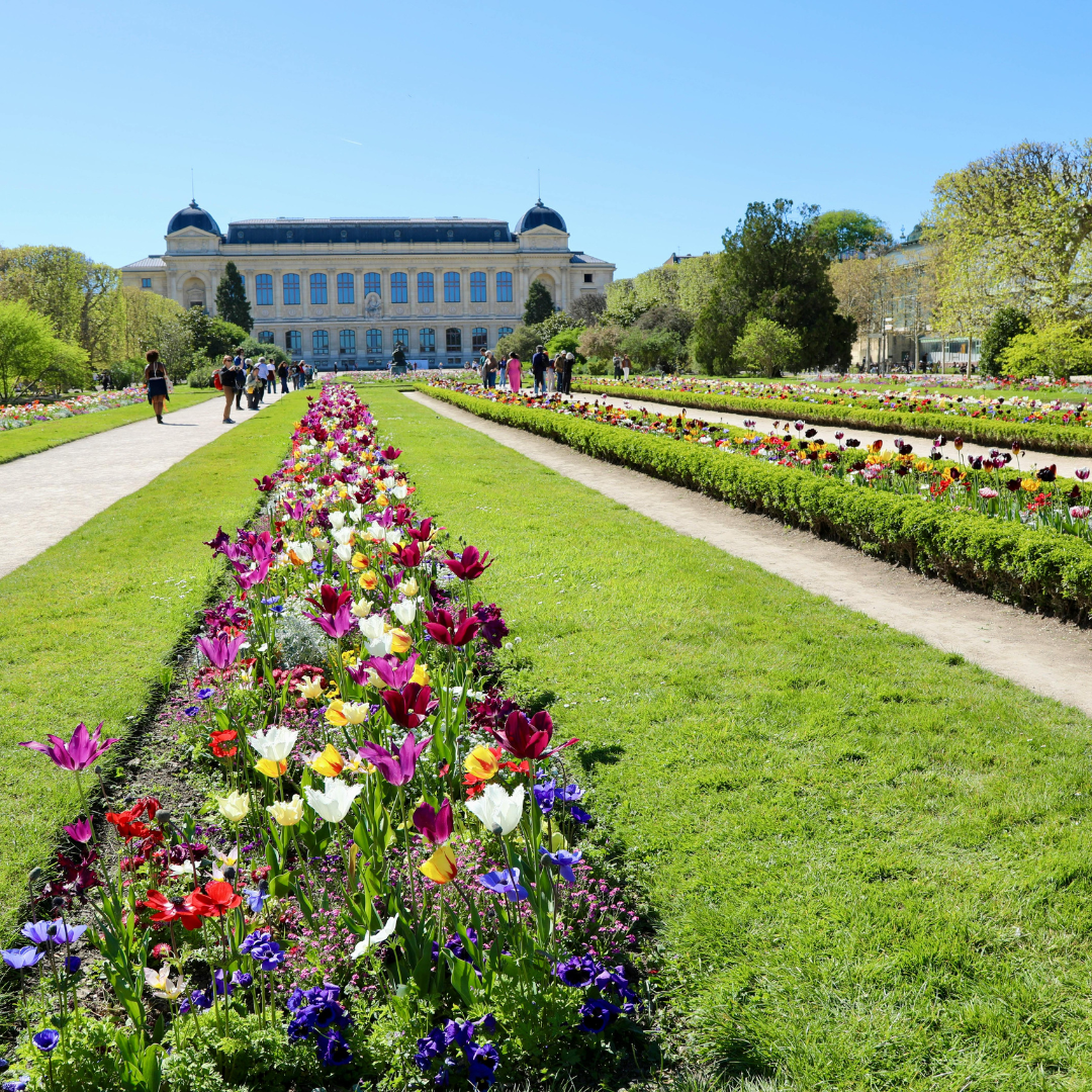 Trimmers Landscaping